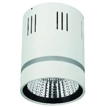 12W cob downlight widely used in Hotels, Supermarket, Restaurant