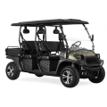 EFI UTV 400cc neben Seite