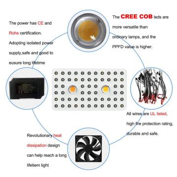 Beste COB -LED -Wachstum Lichter 1000W