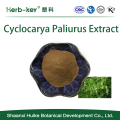 血糖の調節10：1 Cyclocarya paliurus抽出物