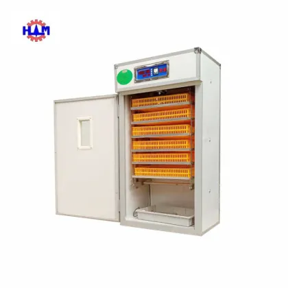 Swan Egg Incubator for Hatching Eggs