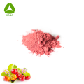 Organischer OEM Natur reiner Acerola -Kirsch -Extraktpulver