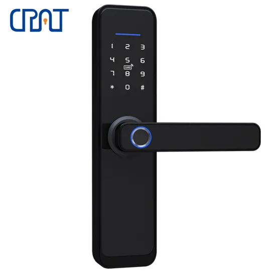 Waterproof Tuya APP Smart Fingerprint Apartment Lock