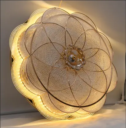 500mm Colored Changeable Round Ceiling Lights - Surface Mounted Indoor Lighting