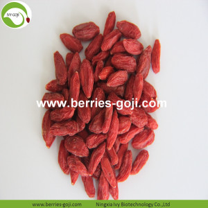 Factory Supply Fruits Natural Mechanical Secado de Bayas de Goji