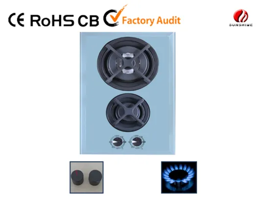 cast iron gas stove with 2 burner