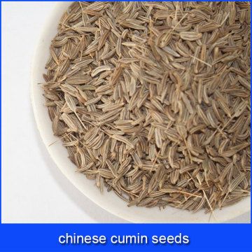 chinese cumin seeds