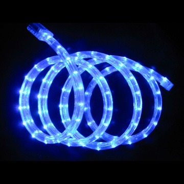 Professional 2 wire 100mm led rope light with CE certificate