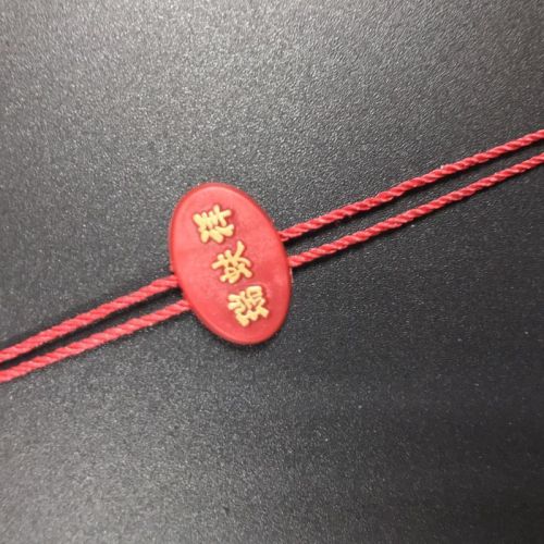 Hot sale promotion plastic seal tag with string