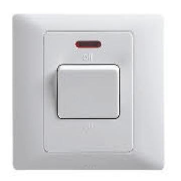 45A/250V 1 Gang DP Switch with Neon