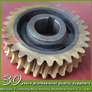 Tianlong High Precision Customized Spur Gear