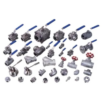 Stainless Steel Valves and Fittings