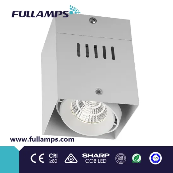 Fullamps 1*10W surface mounted grille light downlight