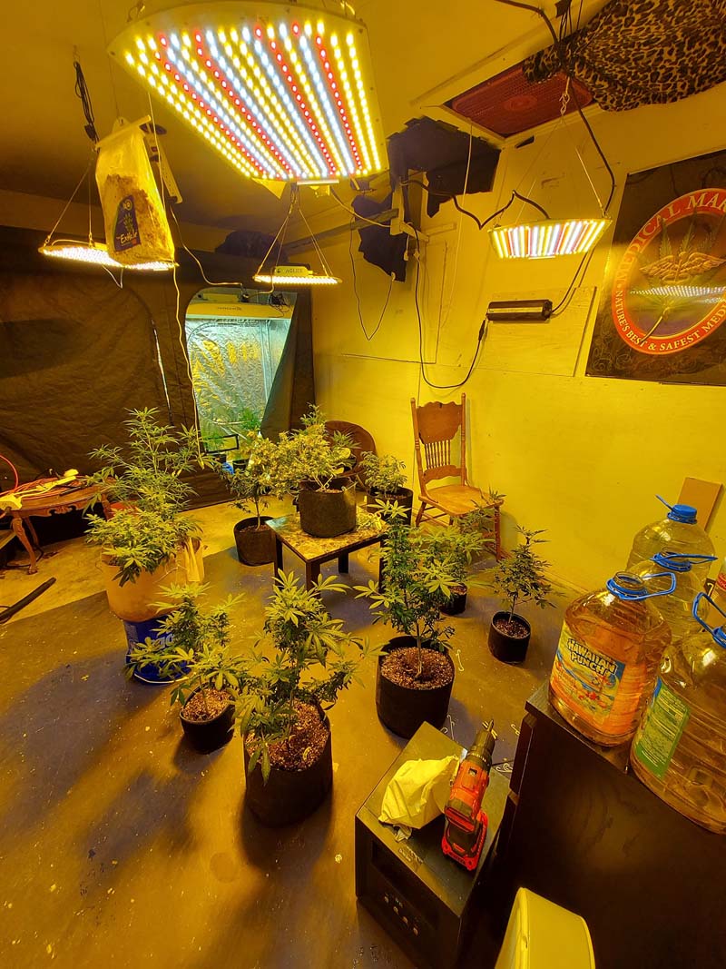 Aglex K2000 LED grow lights