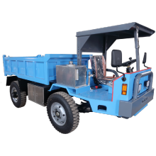 Euro Standard Electric Small Truck