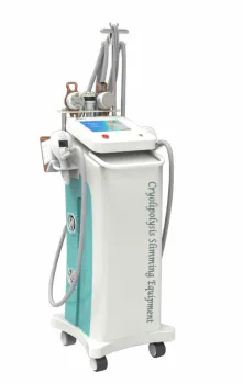 5mhz Rf Cryolipolysis Slimming Machine For Lose Weight, Face Lift 220 / 110v