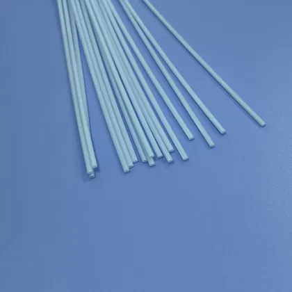 Customized Medical Grade Arkema PEBAX Plastic Double Layers Reinforced Tube for Ablation