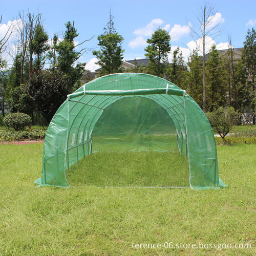 TLSP109 Outdoor Tomato Poly Tunnel Greenhouse 600x300x200cm Low Cost