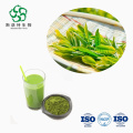 Matcha Extract Powder Containing L-Theanine