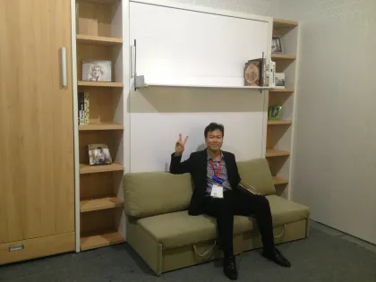 Bed With Sofa,Queen Wall Bed