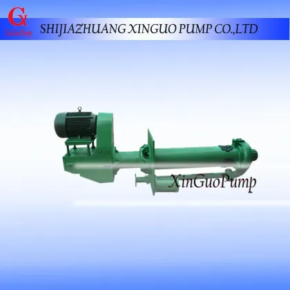 Shijiazhuang Vertical Slurry Pump Wholesaler