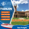 Sea Freight från Tianjin till Asuncion