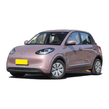 Wuling Bingo EV: 2023-2024 China's New Electric Car Model