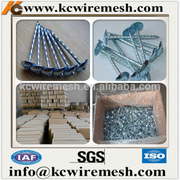 KANGCHEN galvanized 2.5" roofing nails with plain shank