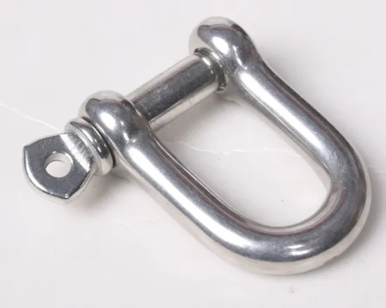 304 stainless steel D-type shackle