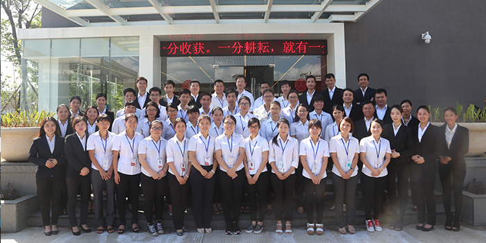 6.company staff 