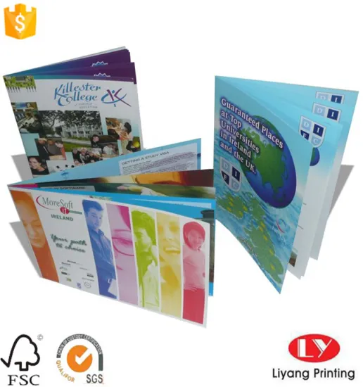 cheap Saddle Stitching Binding brochure book printing