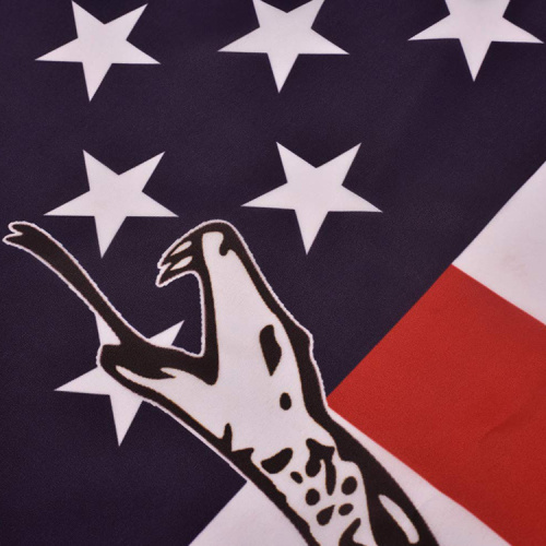 Custom design Military US Gadsden flags