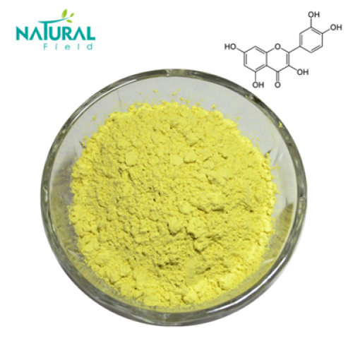 Sophora Japonica Extract Health Care Product Quercetin Dihydrate Powder Factory