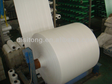 White PP woven fabric/sheet in roll made in China
