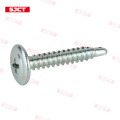 Stainless Steel Self-Drilling Screw with Truss Head