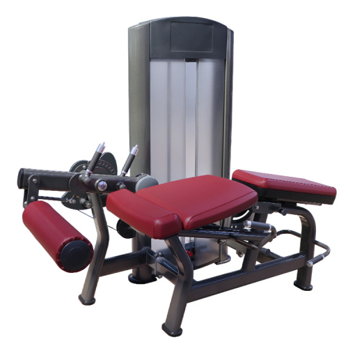 Dual function leg extension/prone leg curl machine