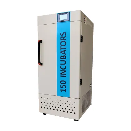 Large Capacity CO2 Incubator for Immunology and Genetics Research