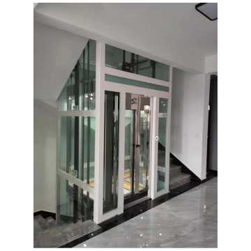 Customized 300kg 4-Floor VVVF Traction Home Lift with Competitive Price - MSDS