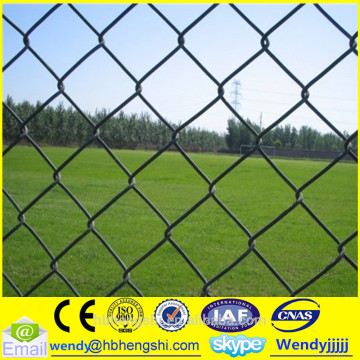 Chain link fence/crimpled wire mesh/chain wire mesh