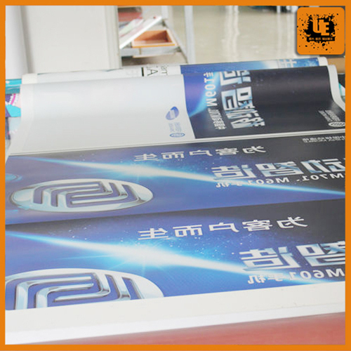 High Quality Front Printing Backlit Film (UTE-L0917)