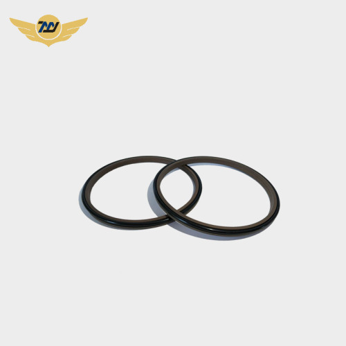 Hydraulic Cylinder Seal Piston Rod Scraper Seals GSZL