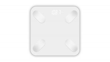 Smart Body Fat Scale