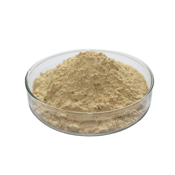 Bulk 100% Natural High Quality Hot Selling Soy Lecithin