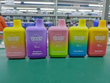 Europe Vasy Mini 600 Puffs Disposable Vape Device