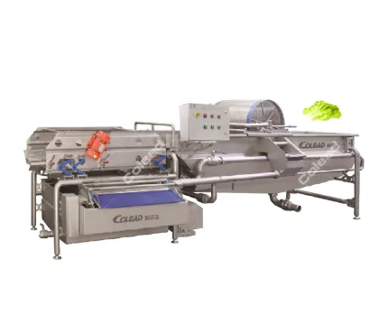 3000 kgs per hour Industrial Vegetable Washing Machine