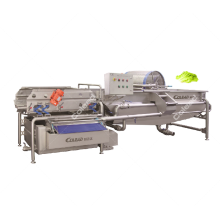 3000 kgs per hour Industrial Vegetable Washing Machine