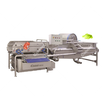 Automatic vegetable processing IQF vegetable processing line