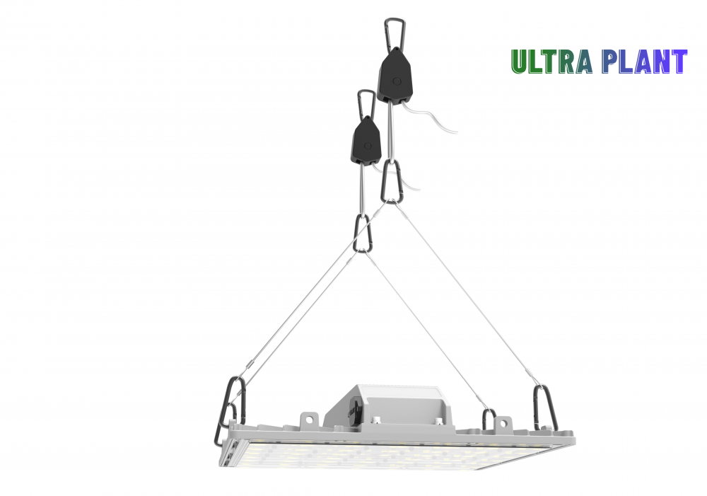 led grow lamp for indoor plants