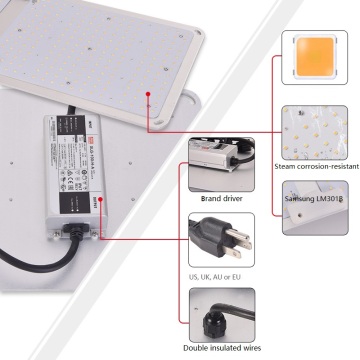 200W LED Horticulture Grow Light Quantum