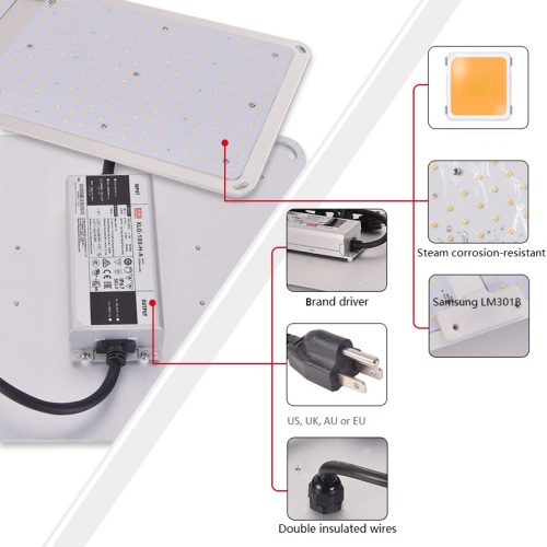 Hot Grow Light 220W Quantum Board